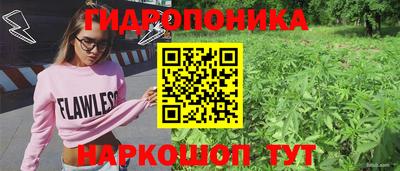 кокс Ливны