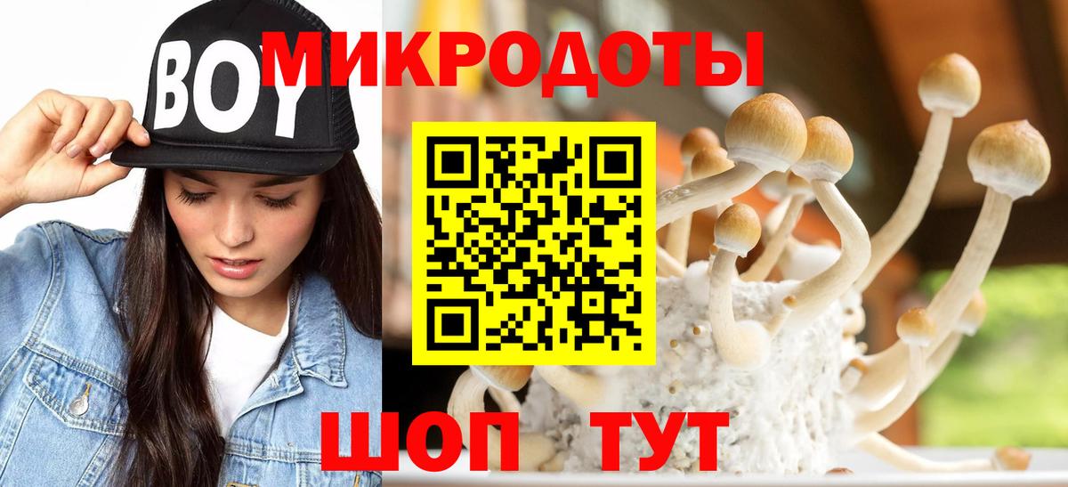 Псилоцибиновые грибы GOLDEN TEACHER Десногорск